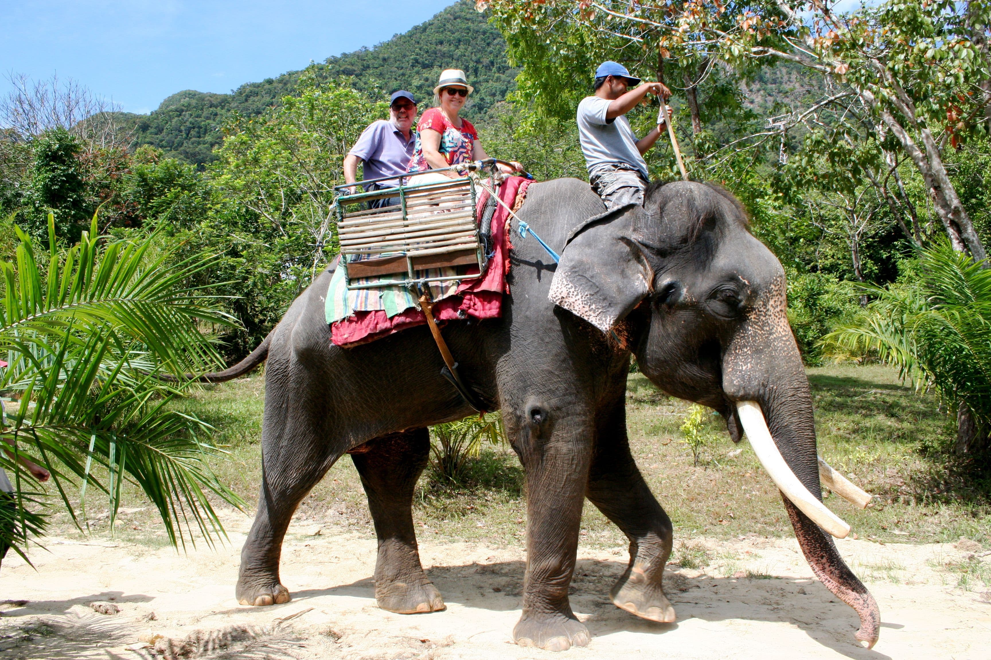 Elephant with riders.
